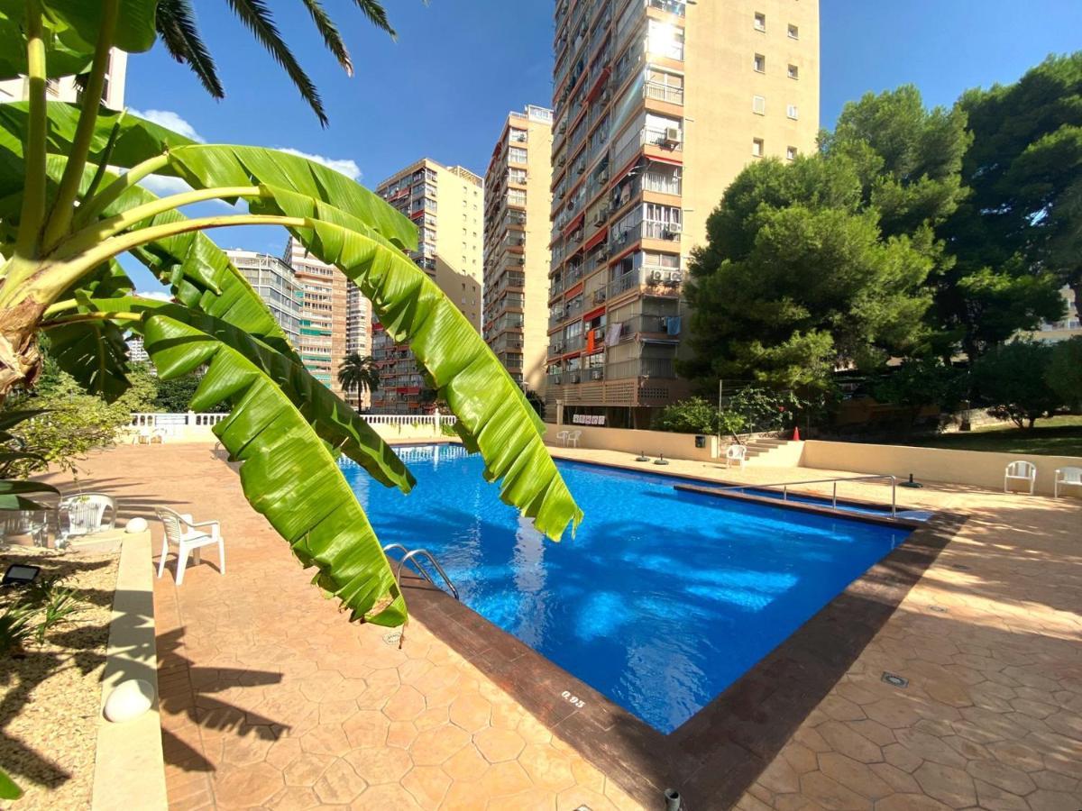 Appartement Don Miguel I-2